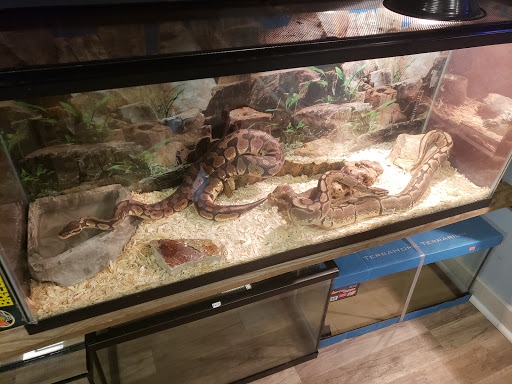 Fish & More Pet Store, 310 E Main St #8, Sylva, NC 28779, USA, 