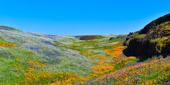 North Table Mountain Ecological Reserve