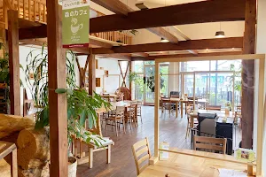 どんぐりの森・森のカフェ image