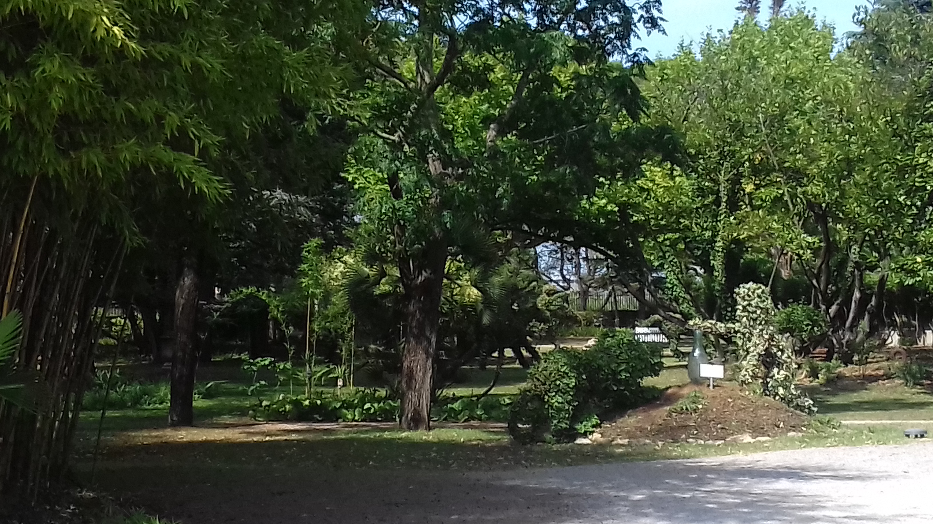 Photo n° 1 de l'avis de estingoy.l fait le 17/07/2019 à 10:40