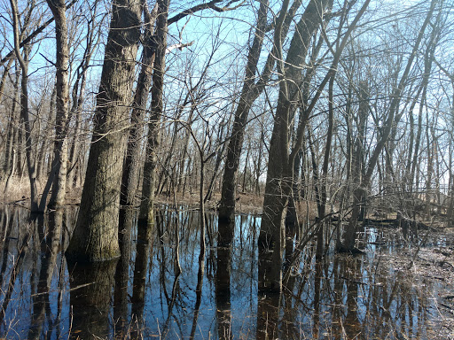 Park «Jaycee Park», reviews and photos, Beverly J Griffin Dr, Romeoville, IL 60446, USA