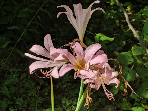 Nature Preserve «Kokiwanee Nature Preserve», reviews and photos, 5825 E 50 S, Lagro, IN 46941, USA