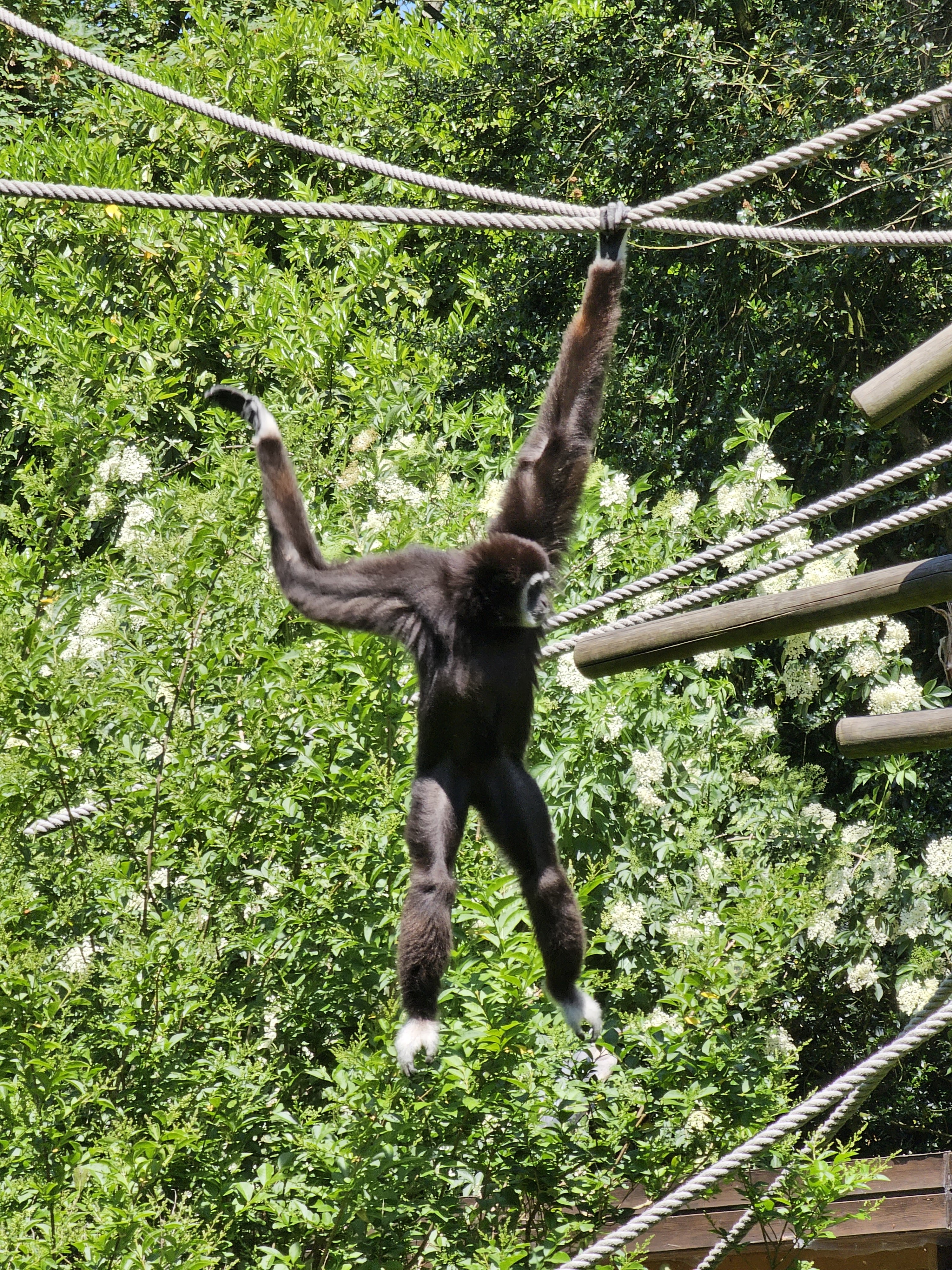 Photo n° 7 de l'avis de Envy.e fait le 03/06/2023 à 13:47