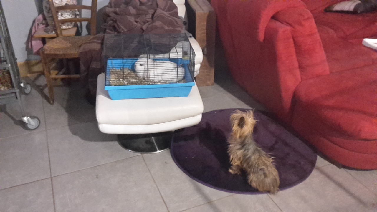 Photo n° 15 de l'avis de Isa.a fait le 01/07/2018 à 22:34