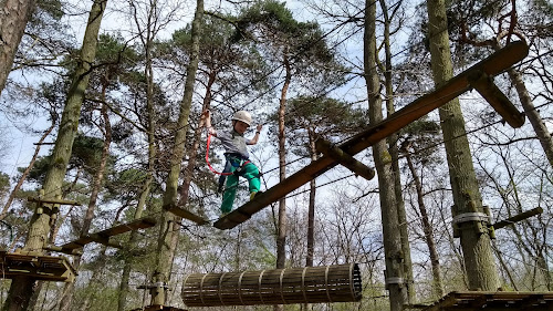 Atout Branches à Milly-la-Forêt