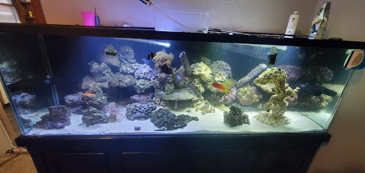 Tropical Fish Store «The Coral Reef Inc.», reviews and photos, 742 W Boundary St, Perrysburg, OH 43558, USA