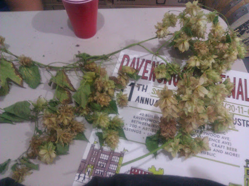 Brewery «Begyle Brewing Company», reviews and photos, 1800 W Cuyler Ave, Chicago, IL 60613, USA