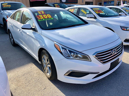 Car Dealer «First Class Auto Wholesale Inc», reviews and photos