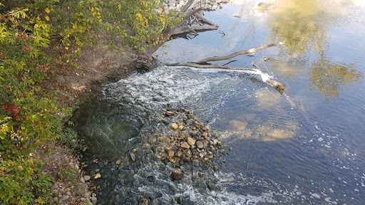 Nature Preserve «Captain Daniel Wright Woods Forest Preserve», reviews and photos, 24830 N St Marys Rd, Mettawa, IL 60045, USA
