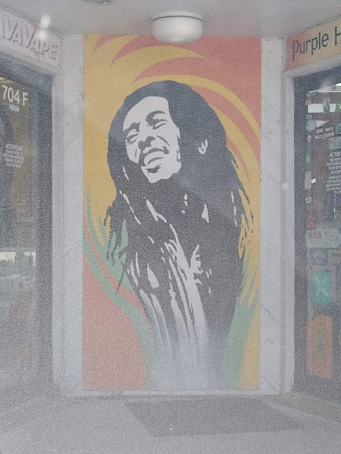 Tobacco Shop «Purple Haze Smoke Shop», reviews and photos, 704 Seaboard St g, Myrtle Beach, SC 29588, USA