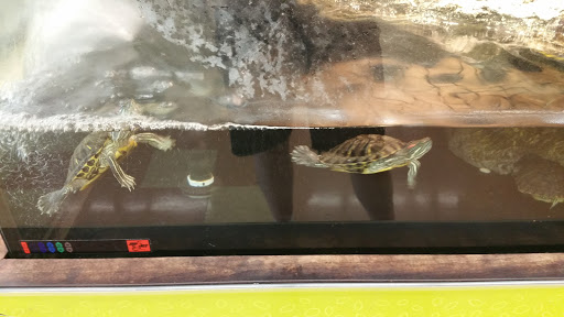 Pet Supply Store «Petco Animal Supplies», reviews and photos, 1412 S Main Chapel Way, Gambrills, MD 21054, USA