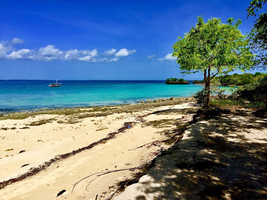 Fumba Beach