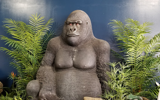 Pet Store «Everything Pet», reviews and photos, 3616 N Fry Rd, Katy, TX 77449, USA