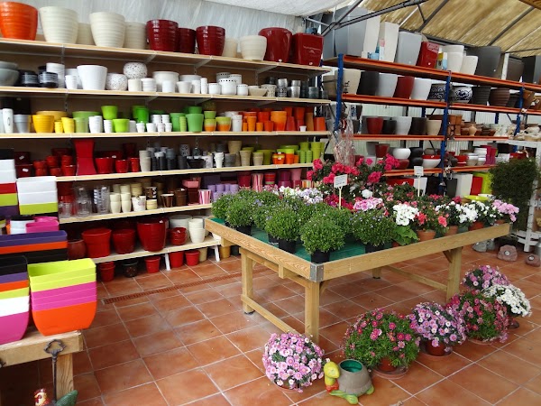 Centro de jardineria el roble