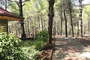 Çamlık Parkı image