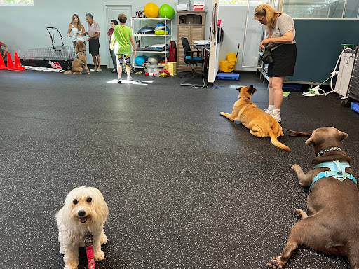 Country Oaks Animal Hospital & Boarding Kennel