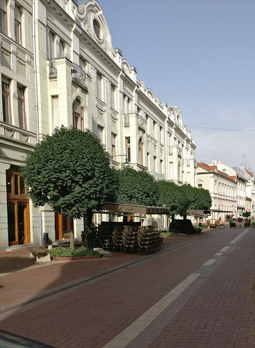 Bortársaság - Szeged