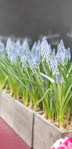 Florist «Cerritos Hills Florist», reviews and photos, 11827 South St, Cerritos, CA 90703, USA