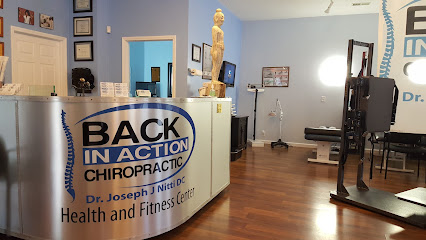 Back in Action Chiropractic - Pet Food Store in Banner Elk North Carolina