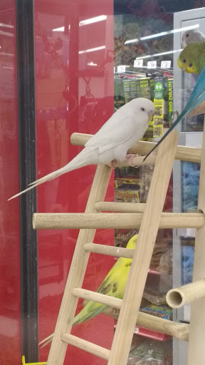 Pet Supply Store «Petco Animal Supplies», reviews and photos, 6181 Old Dobbin Ln #800, Columbia, MD 21045, USA
