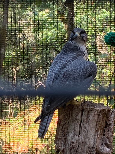 Nature Preserve «Cascades Raptor Center», reviews and photos, 32275 Fox Hollow Rd, Eugene, OR 97405, USA