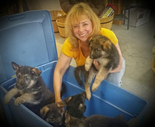 Pet Supply Store «Cheshire Cat & Dog Too», reviews and photos, 1320 Waterbury Rd, Cheshire, CT 06410, USA