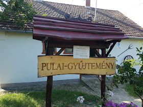 PULAI-GYŰJTEMÉNY