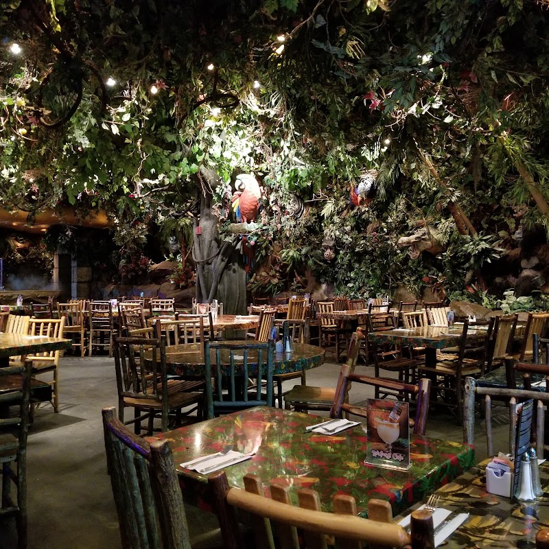 Rainforest Cafe