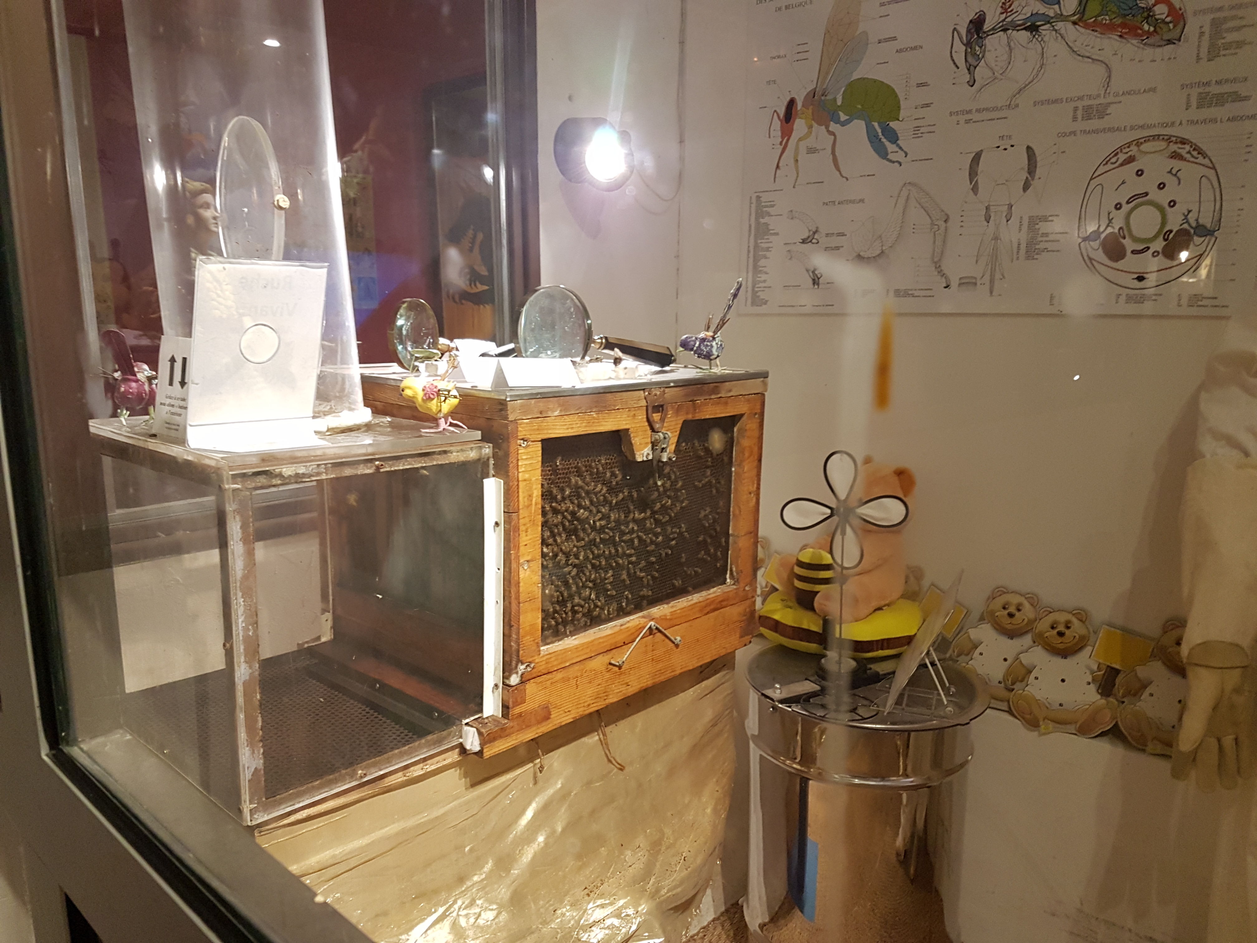 Photo n° 2 de l'avis de Aurelie.e fait le 03/08/2019 à 13:18
