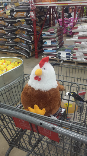 Department Store «Rural King», reviews and photos, 465 South St, Front Royal, VA 22630, USA