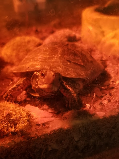 Nature Preserve «Strawberry Hill Nature Preserve», reviews and photos, 1537 Mt Hope Rd, Fairfield, PA 17320, USA