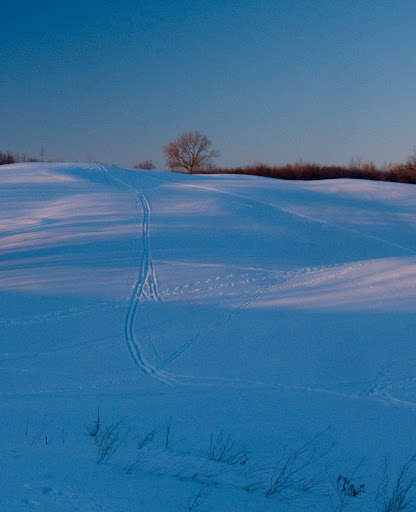 Golf Course «​​​​​Leslie Park Golf Course», reviews and photos, 2120 Traver Rd, Ann Arbor, MI 48105, USA