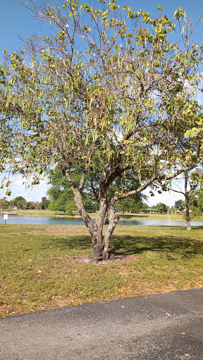 Park «Plantation Heritage Park», reviews and photos, 1100 S Fig Tree Ln, Plantation, FL 33317, USA