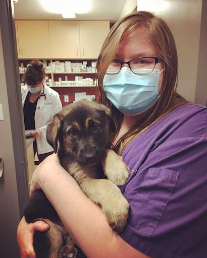 Aylmer Veterinary Clinic image