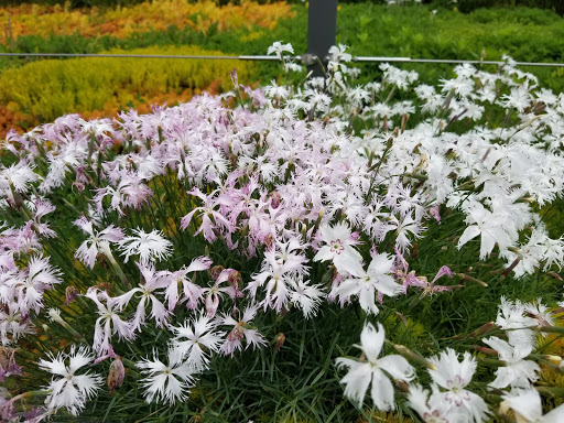 Science Museum «Connecticut Science Center», reviews and photos, 250 Columbus Blvd, Hartford, CT 06103, USA