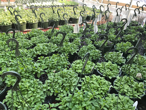 Garden Center «Lake Anna Nursery», reviews and photos, 71 Oak Grove Dr, Mineral, VA 23117, USA