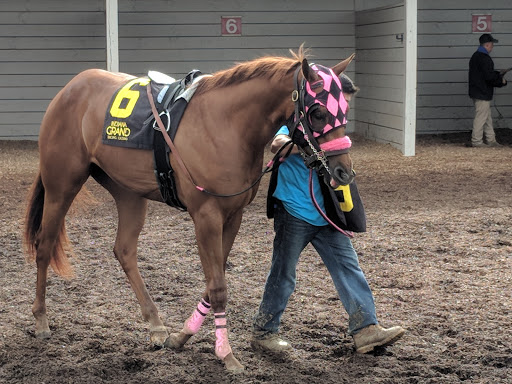 Casino «Indiana Grand Racing & Casino», reviews and photos, 4300 N Michigan Rd, Shelbyville, IN 46176, USA