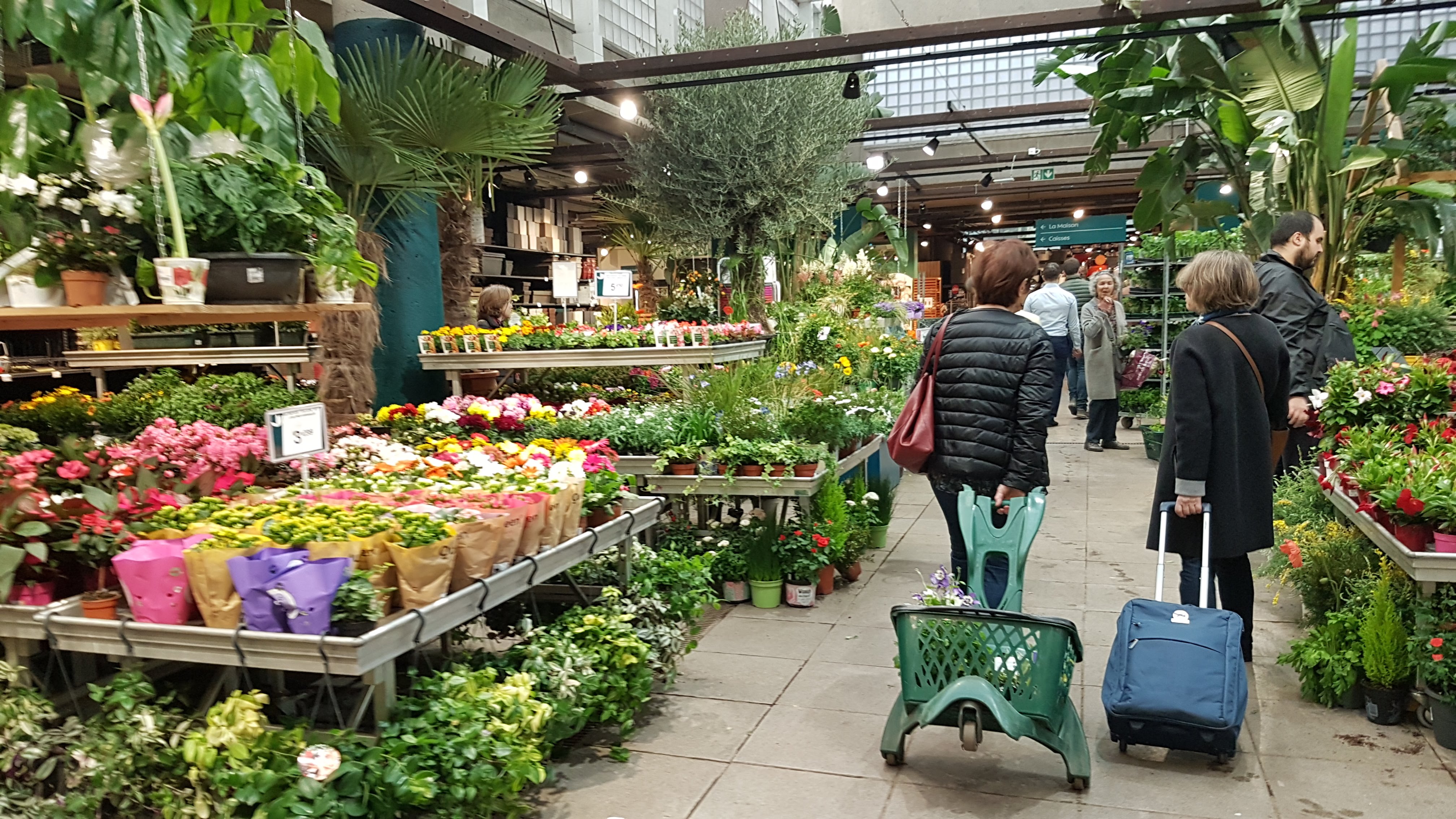 Photo n° 1 de l'avis de Françoise.O fait le 22/03/2019 à 19:28