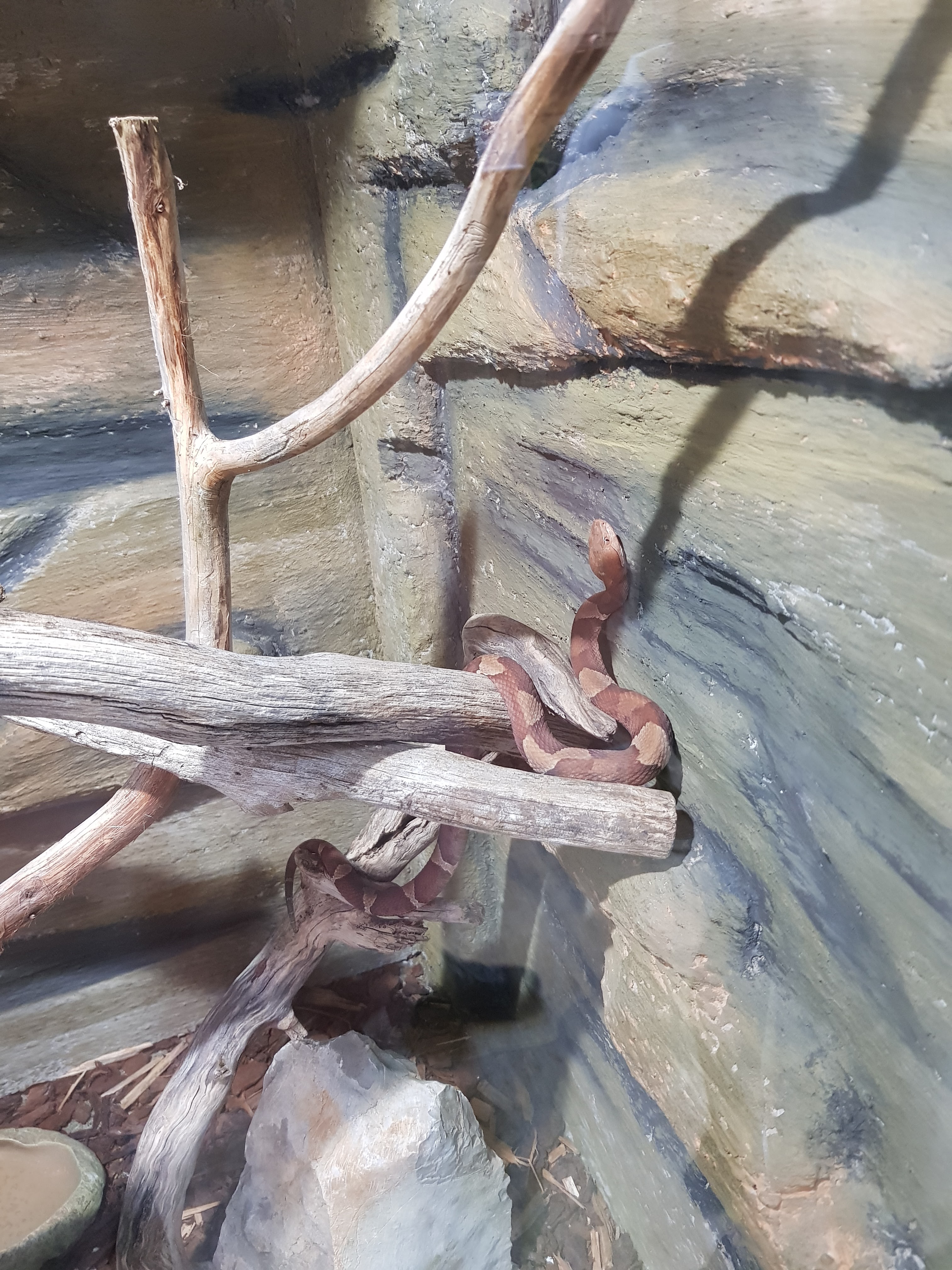 Photo n° 16 de l'avis de Lala.a fait le 24/08/2020 à 19:44