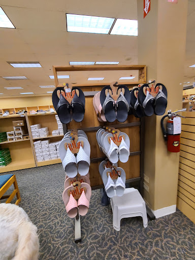 Shoe Store «Peltz Shoes - Brandon Store», reviews and photos, 328 Brandon Town Center Dr, Brandon, FL 33511, USA