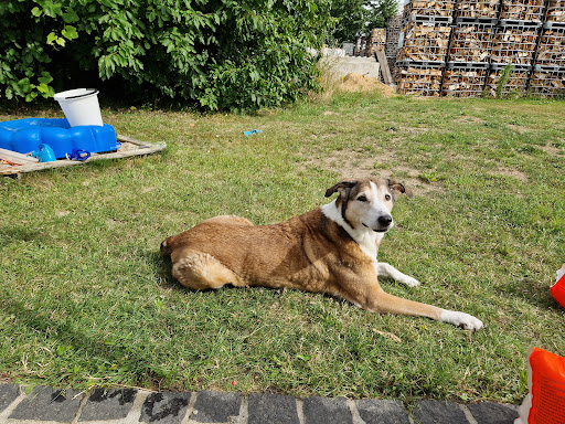 Tieraugenzentrum de Meinweg, Dr. med. vet. Daniela Harre unter Niederkrüchten, 