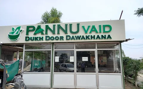 Pannu Vaid - The Ayurveda Expert image