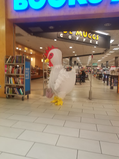 Book Store «Books-A-Million», reviews and photos, 2150 Northwoods Blvd, Charleston, SC 29406, USA