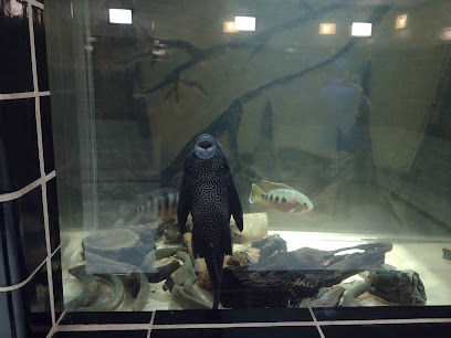 Welaka National Fish Hatchery - Aquarium