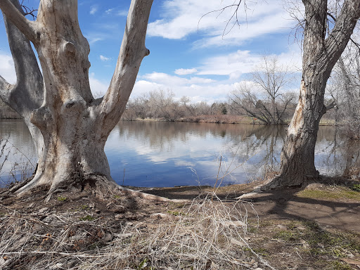 Park «Belmar Park», reviews and photos, 801 S Wadsworth Blvd, Lakewood, CO 80226, USA