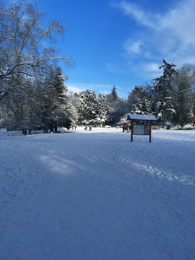 Park «Cowen Park», reviews and photos, 5849 15th Ave NE, Seattle, WA 98105, USA