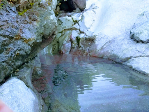 National Reserve «Mount St. Helens National Volcanic Monument», reviews and photos, 3029 Spirit Lake Hwy, Castle Rock, WA 98611, USA