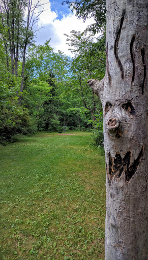 Disc Golf Course «Hudson Mills Disc Golf Course», reviews and photos, 8801 N Territorial Road, Dexter, MI 48130, USA