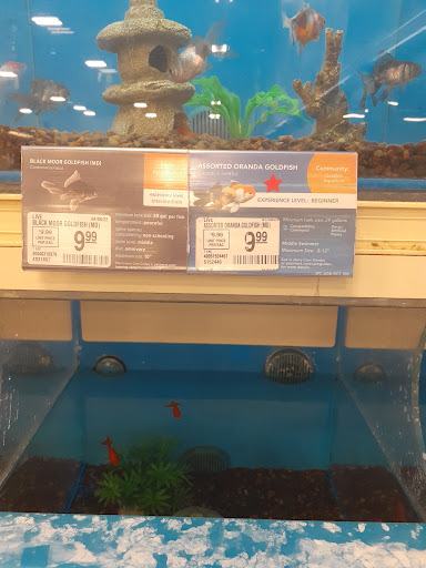 Pet Supply Store «PetSmart», reviews and photos, 916 Loganville Hwy, Bethlehem, GA 30620, USA