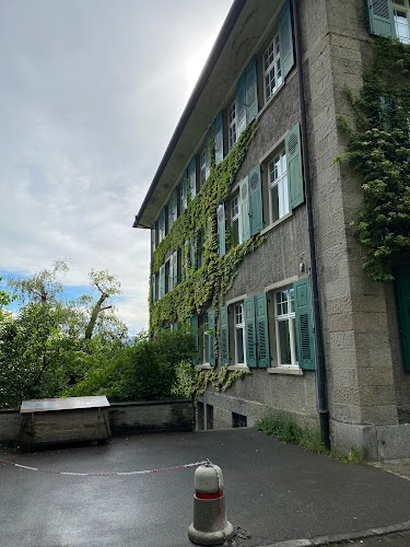 Rezensionen über Cantaleum Zürich in Zürich - Schule
